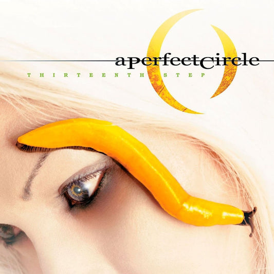 A Perfect Circle - Thirteenth Step (2LP)