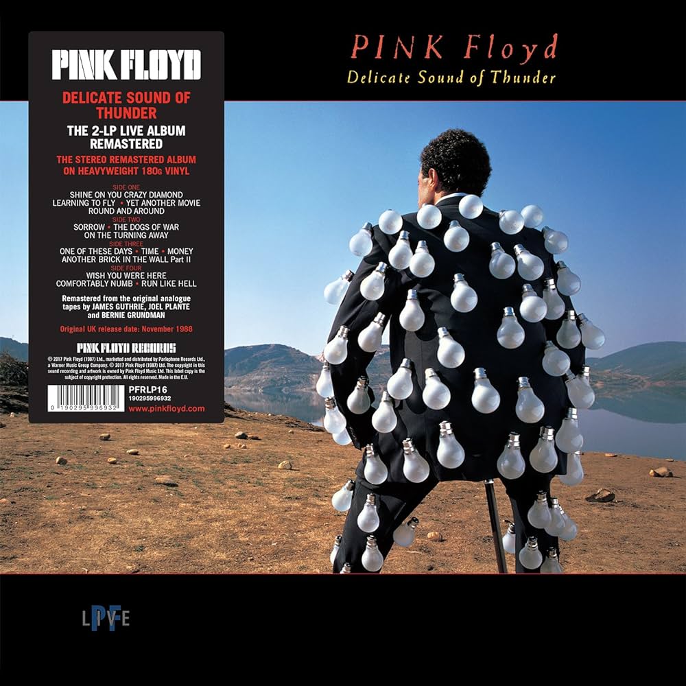 Pink Floyd - Delicate Sound Of Thunder (2LP)