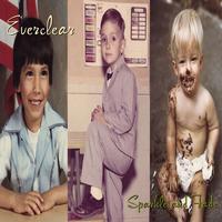 Everclear - Sparkle And Fade LP (Intervention Records 180g Audiophile Edition, Mastered By Kevin Gray)