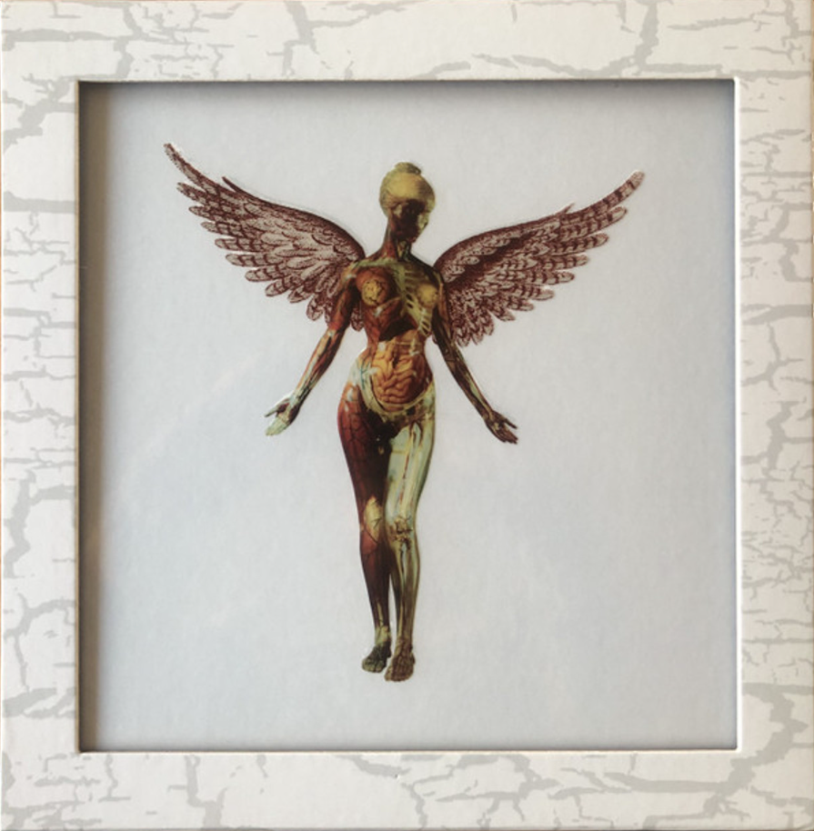 Nirvana - In Utero: 30th Anniversary (8LP)