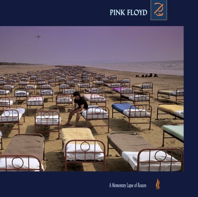 Pink Floyd - A Momentary Lapse of Reason - Vinyl Record 180g Import